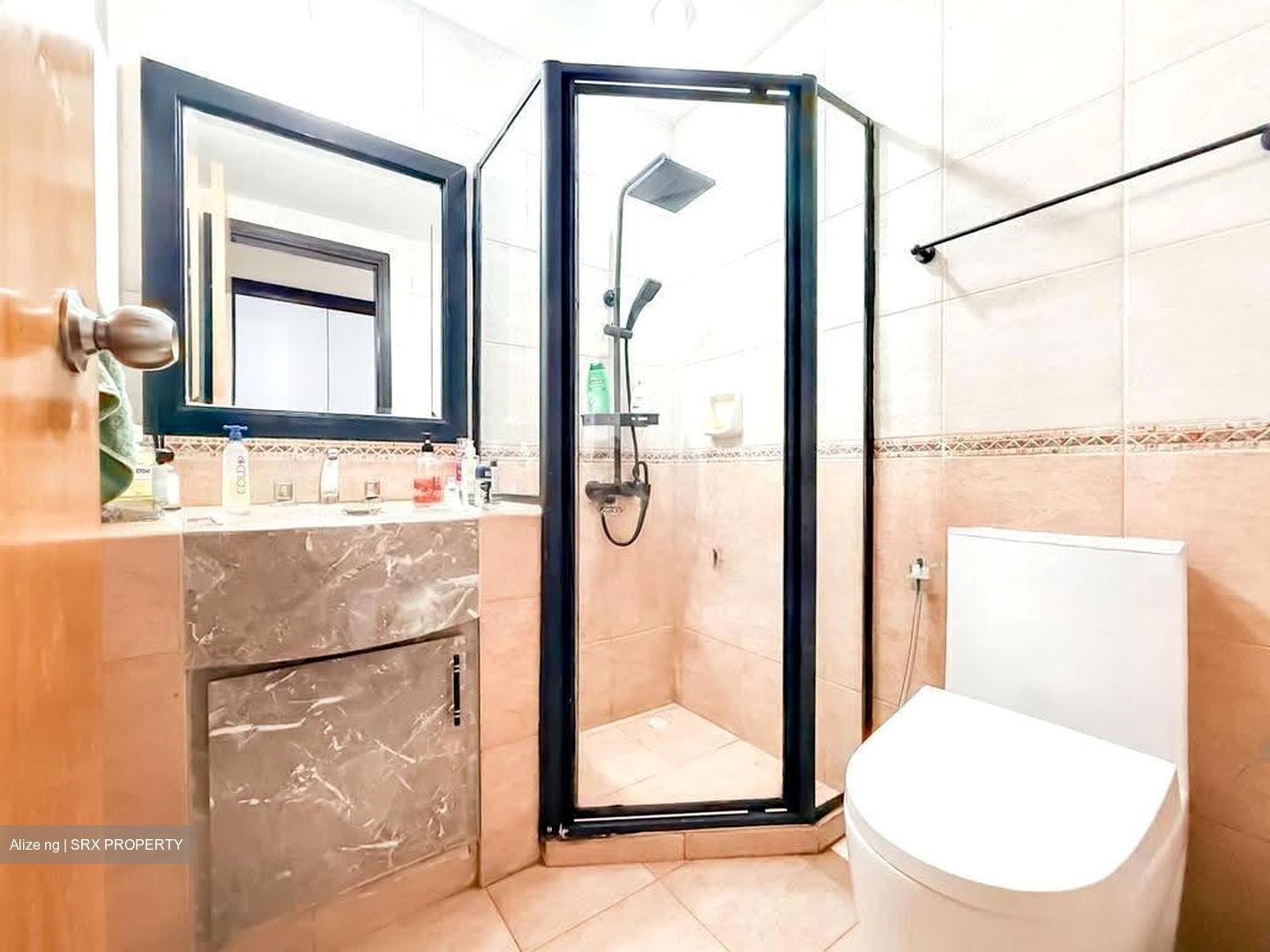 Regent Heights (D23), Condominium #632451371